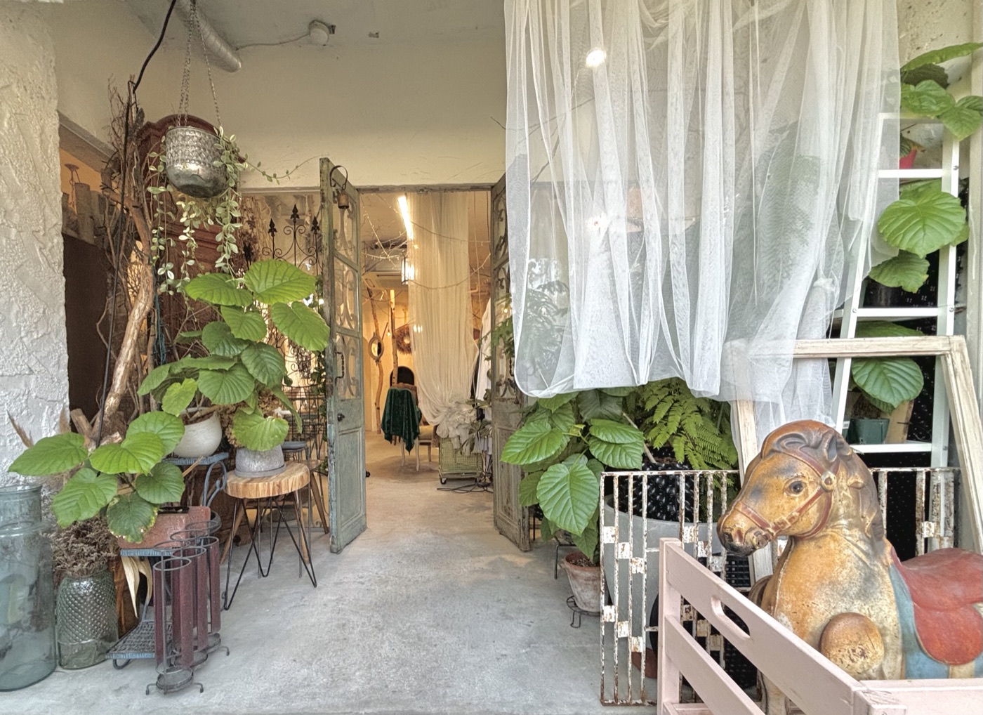 植物とブリキの馬のおもちゃが迎える入口
